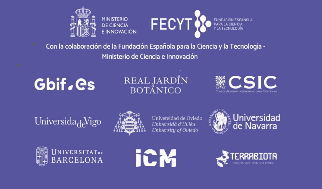 1604635736 176 Desarrollo Sostenible impulsa el proyecto Liquencity 2 en 25 escuelas