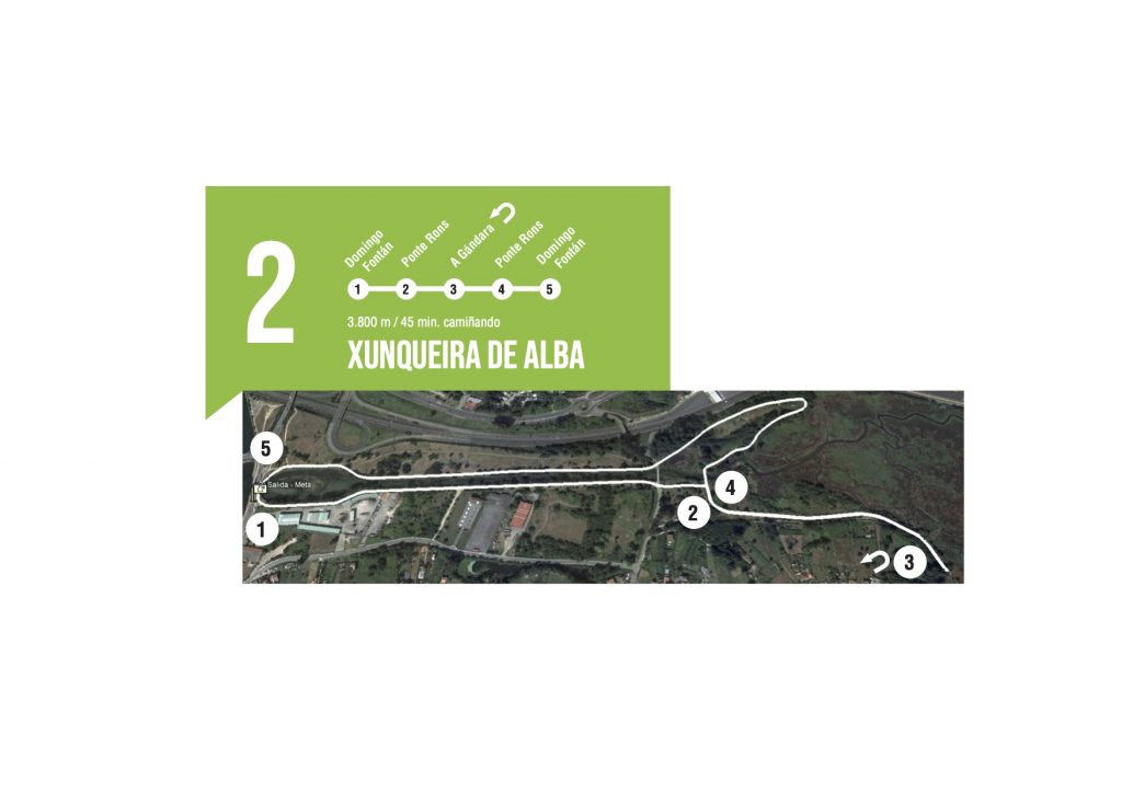 San Silvestre 2020 será una carrera diferente para un año especial: 'Raro, pero San Silvestre' 6 1607692269 202 San Silvestre 2020 sera una carrera diferente para un ano