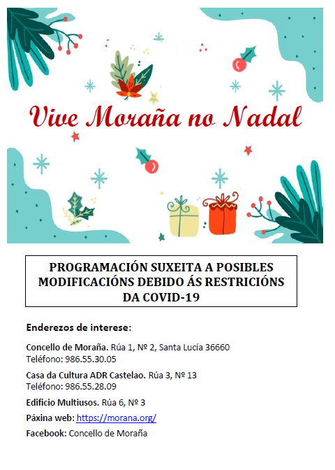 1608349983 269 Programacion Nadal 2020