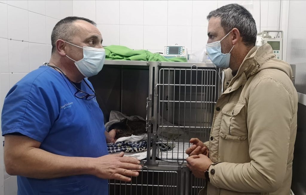 Marcos Rey se preocupa por el estado de salud del gato Balín tras ser operado y advierte que "este acto de falta de humanidad no quedará impune" 3 1611344253 514 Marcos Rey se preocupa por el estado de salud del