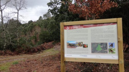 El Ayuntamiento y la Diputación valoran la pradera del parque forestal de A Picaraña
