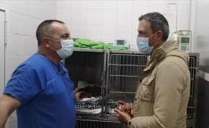 Marcos Rey se preocupa por el estado de salud del gato Balín tras ser operado y advierte que “este acto de falta de humanidad no quedará impune”