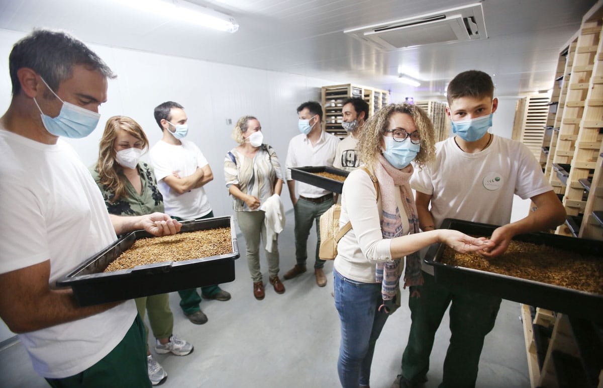 El Ayuntamiento apoya a una empresa pionera en Pontevedra en la cría de lombrices