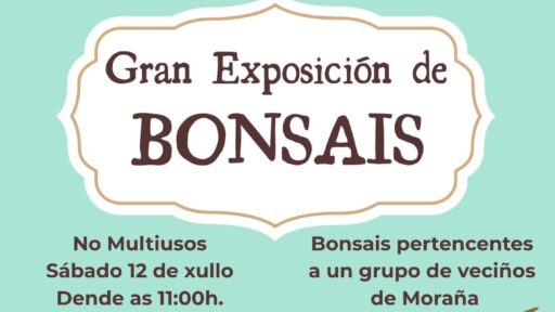 Exhibicion de Great Bonsai 12 de julio
