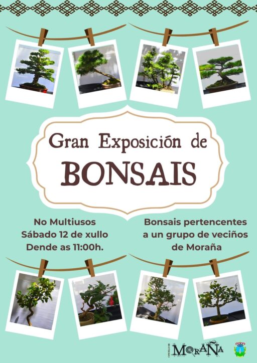 Exhibicion de Great Bonsai 12 de julio