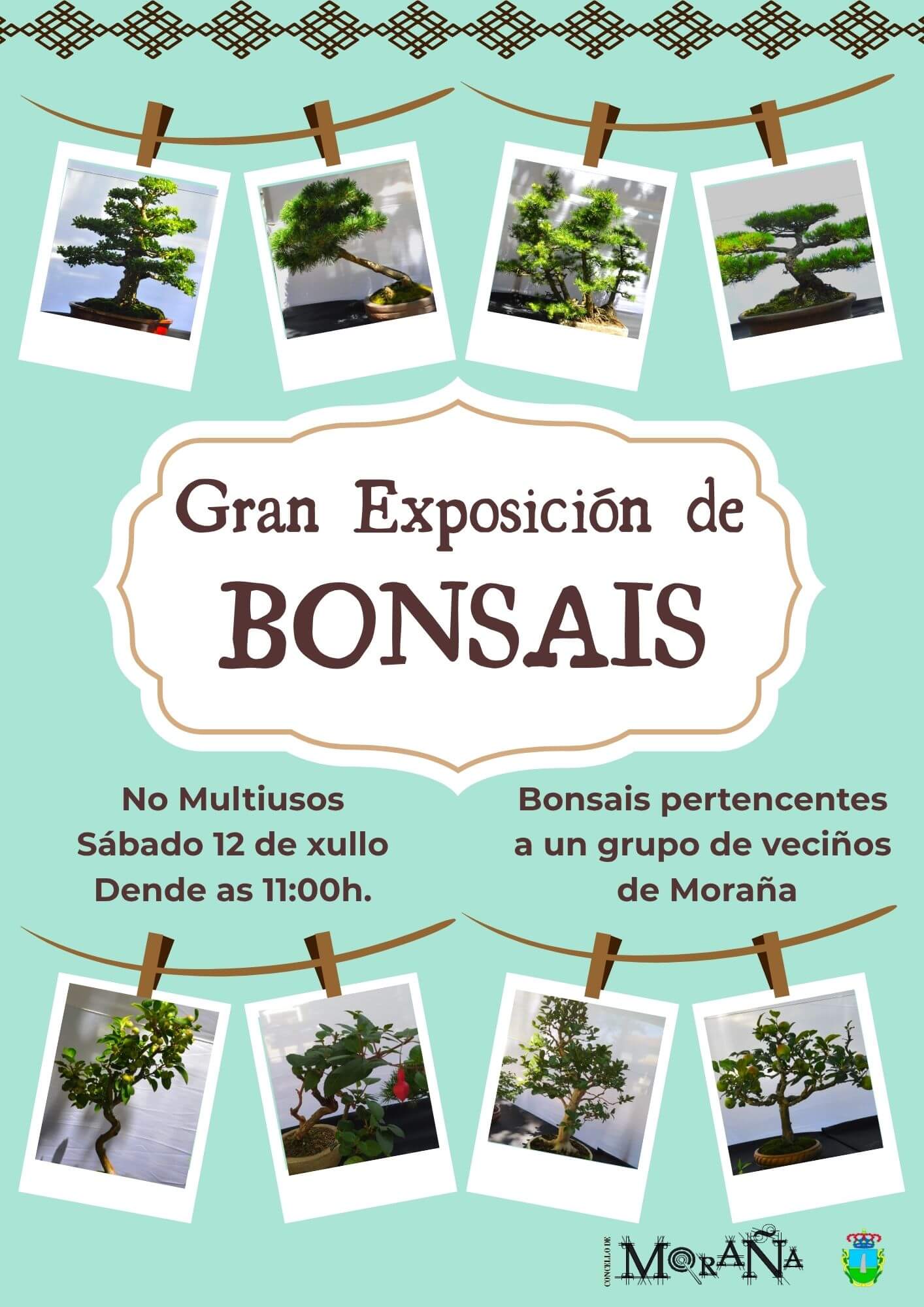 Exhibicion de Great Bonsai 12 de julio