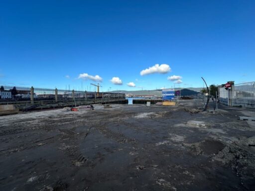 El entorno del muelle portuario avanza en su mejora